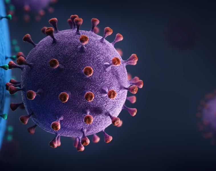 How viruses invade cells